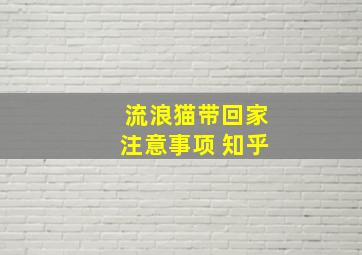 流浪猫带回家注意事项 知乎